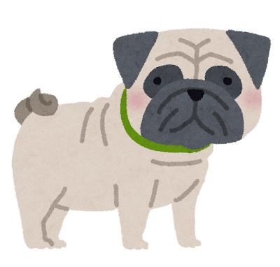 犬